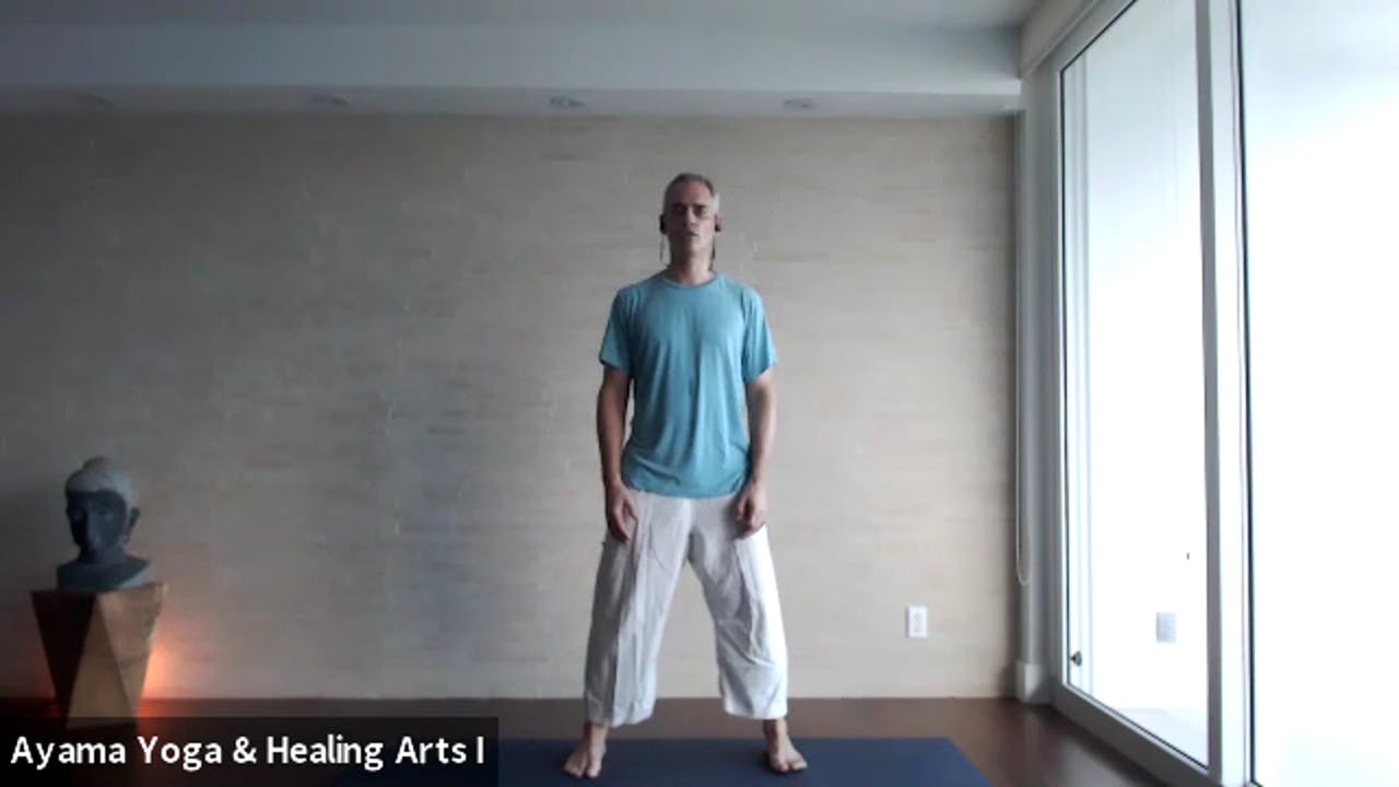 Class 016 - Qigong with Mano