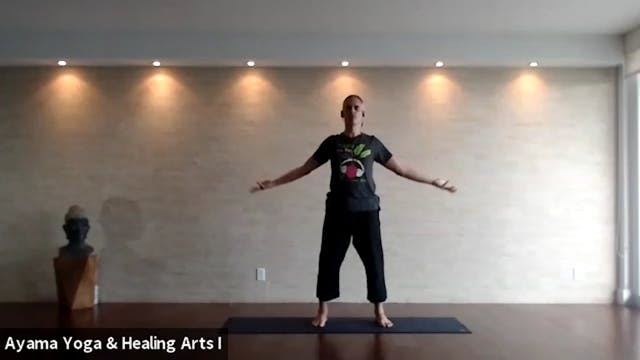 Class 002 - Qigong with Dr. Mariano "...