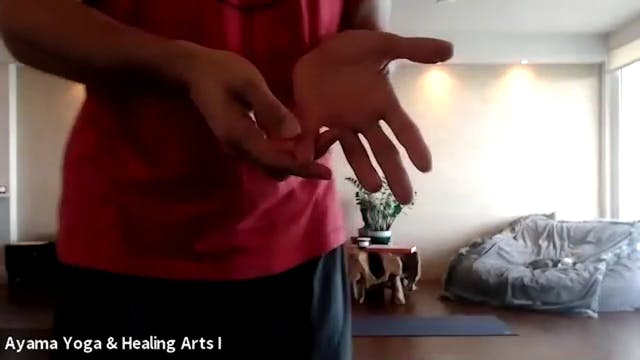 Class 004 - Qigong with Dr. Mariano "...