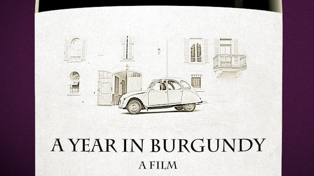 A Year In Burgundy
