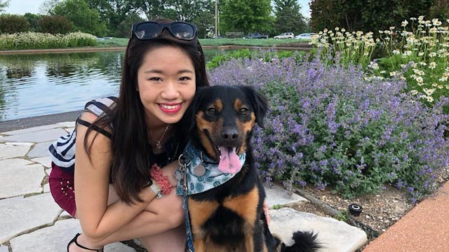 Trainer and Course Introduction