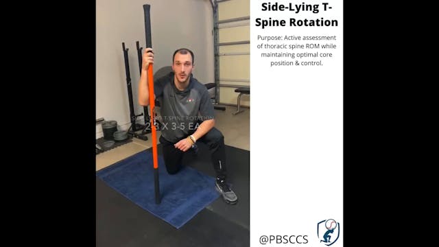 Upper Body Mobility - Exercise 3 - Si...