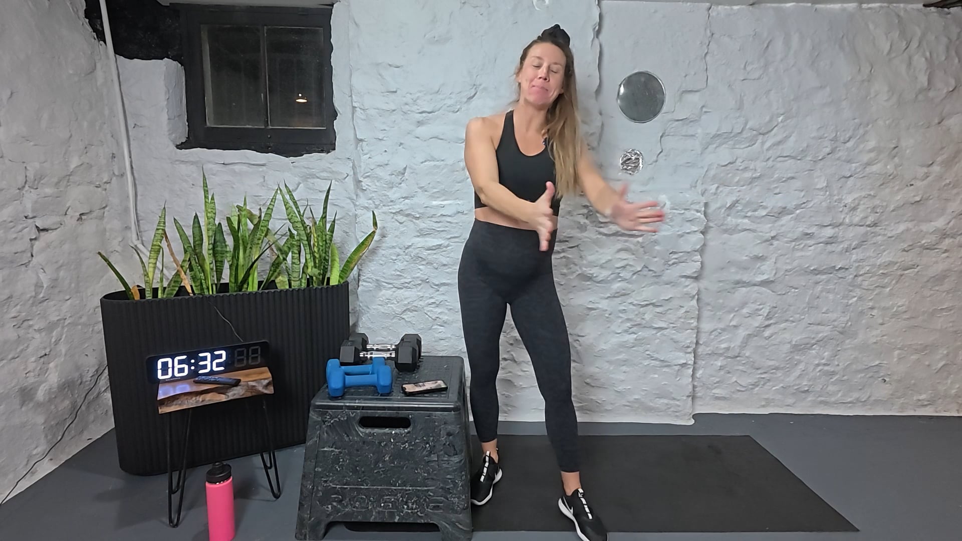 Biceps & Rear Delt Reveal