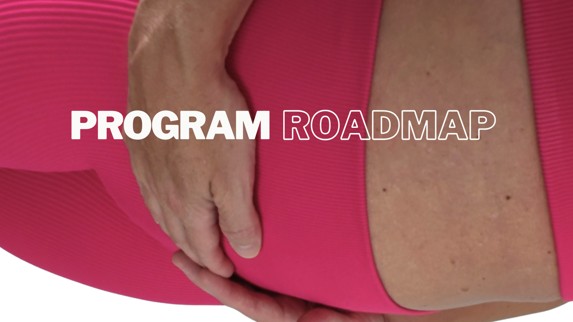 Pregnancy Program Roadmap.pdf