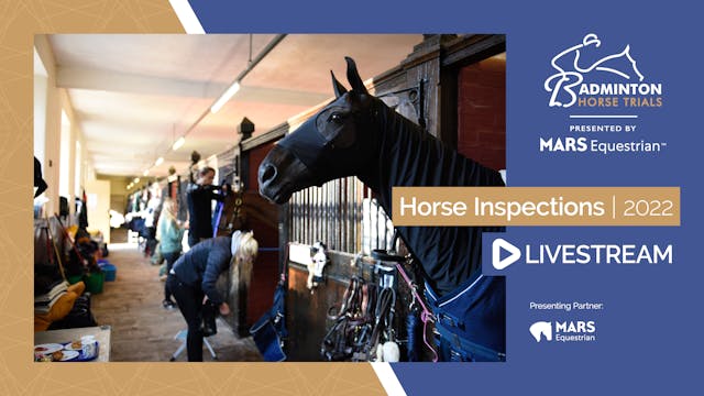 First Horse Inspection - Badminton Ho...