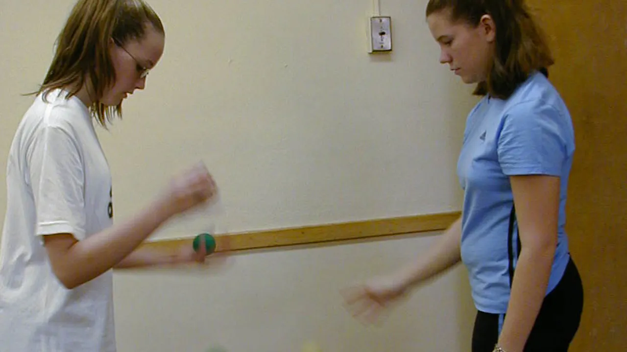 Bal-A-Vis-X Advanced Exercises