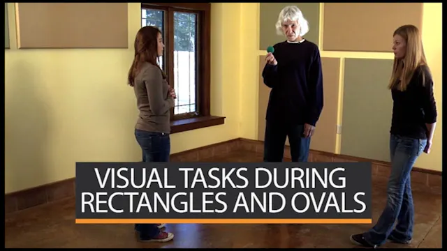 Visual Tasks During Rectangles and Ovals