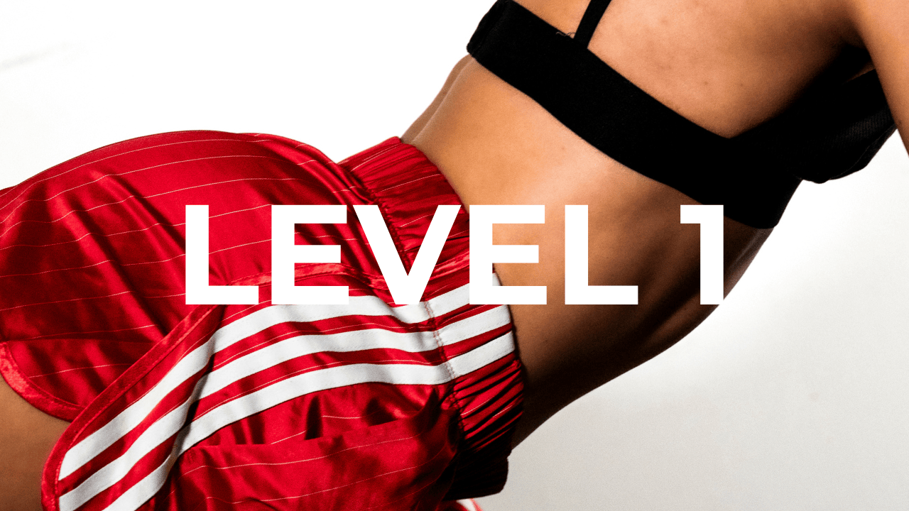 LEVEL 1