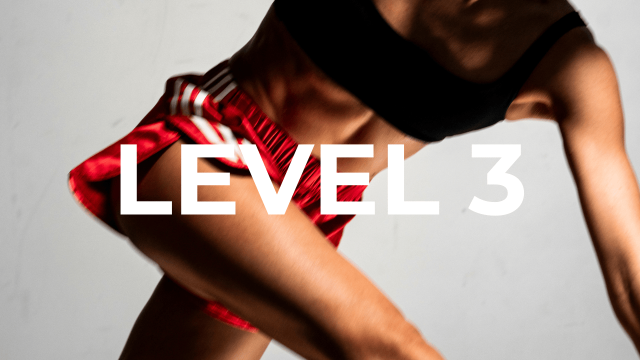 LEVEL 3