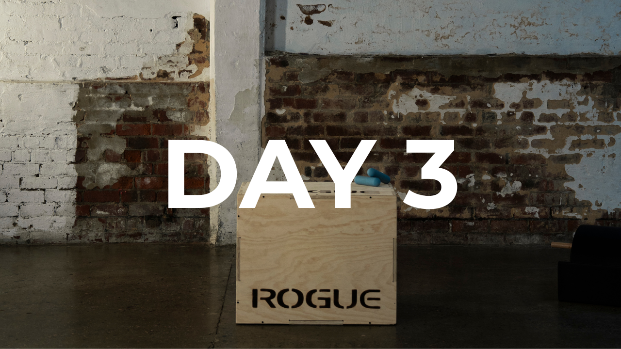 DAY 3