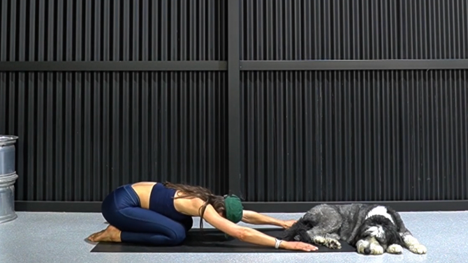 BALANCE BY BAYLEE Video