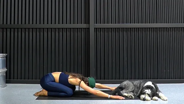LOWER SPINE MOBILITY | MAT