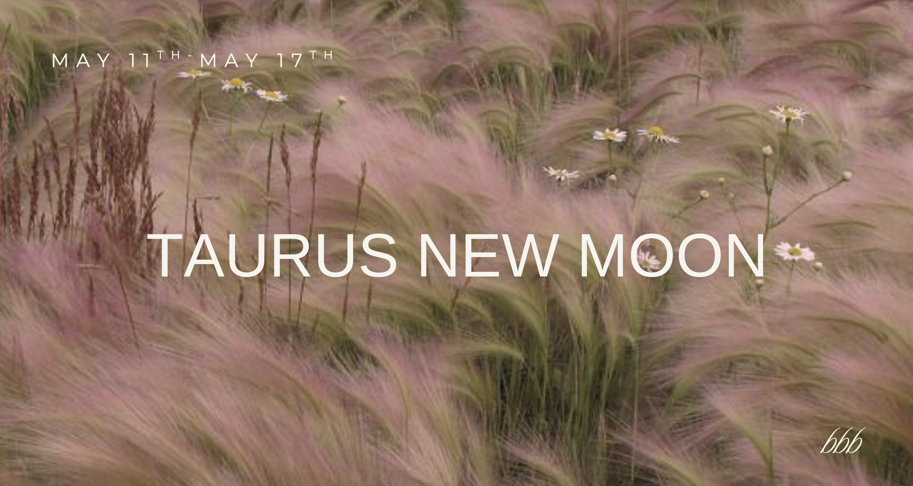 TaurusNewMoon.pdf