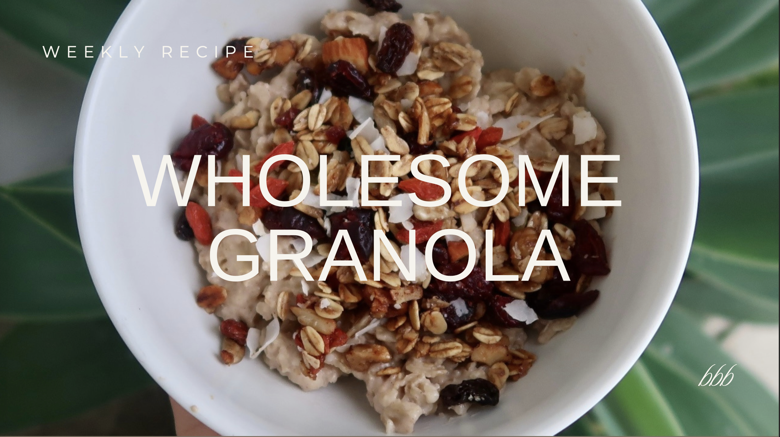 WholesomeGranola.pdf