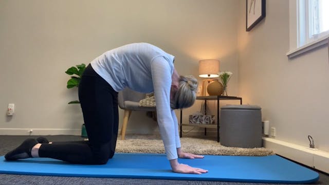 Fold, Twist & Extend