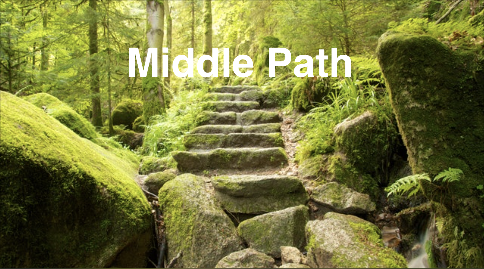 Middle Path