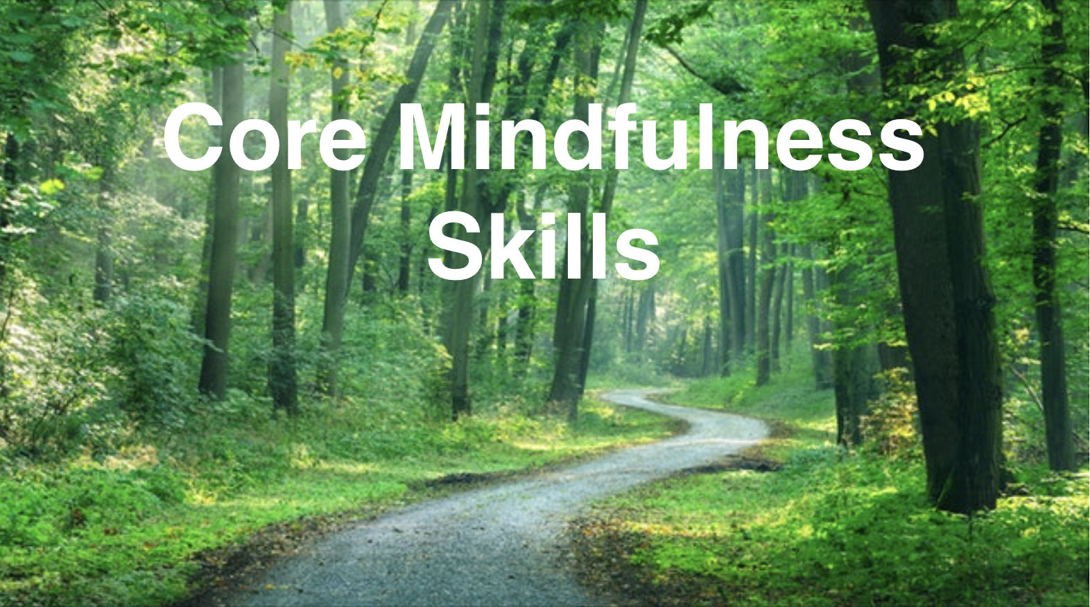 Core Mindfulness Skills