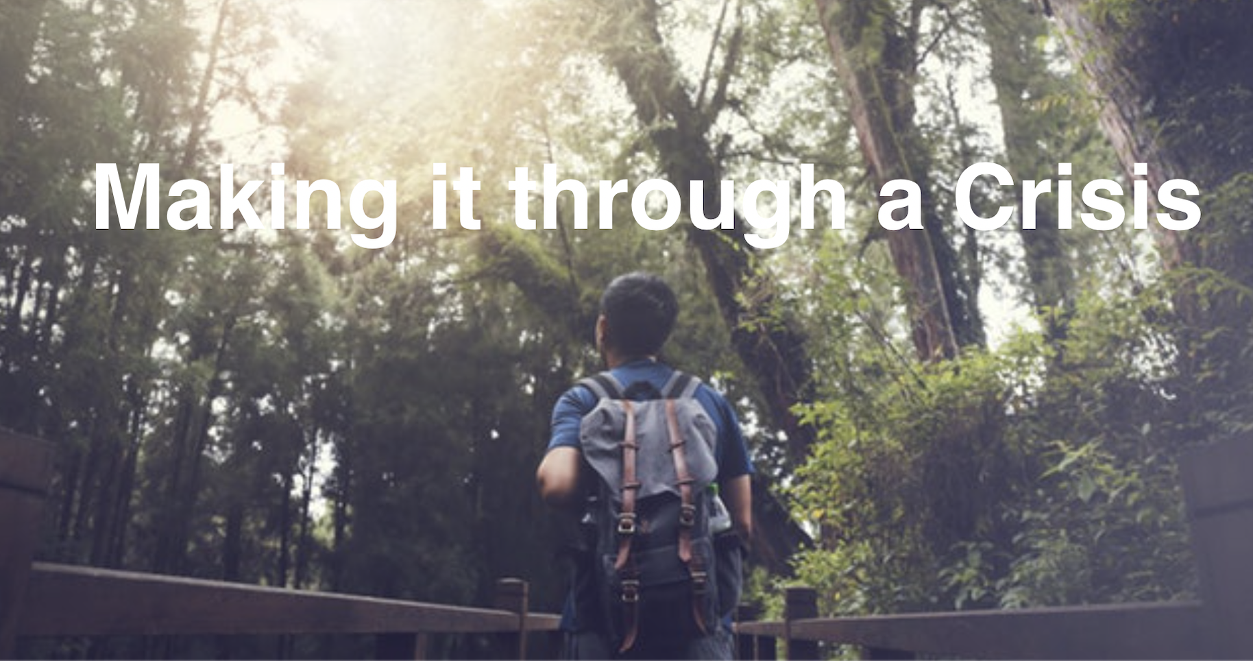 Crisis Survival Skills