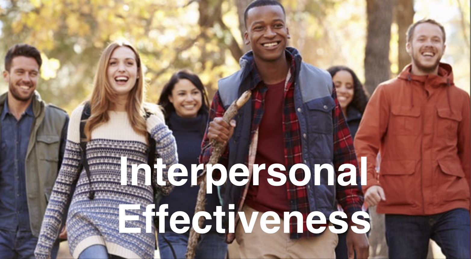 Interpersonal Effectiveness