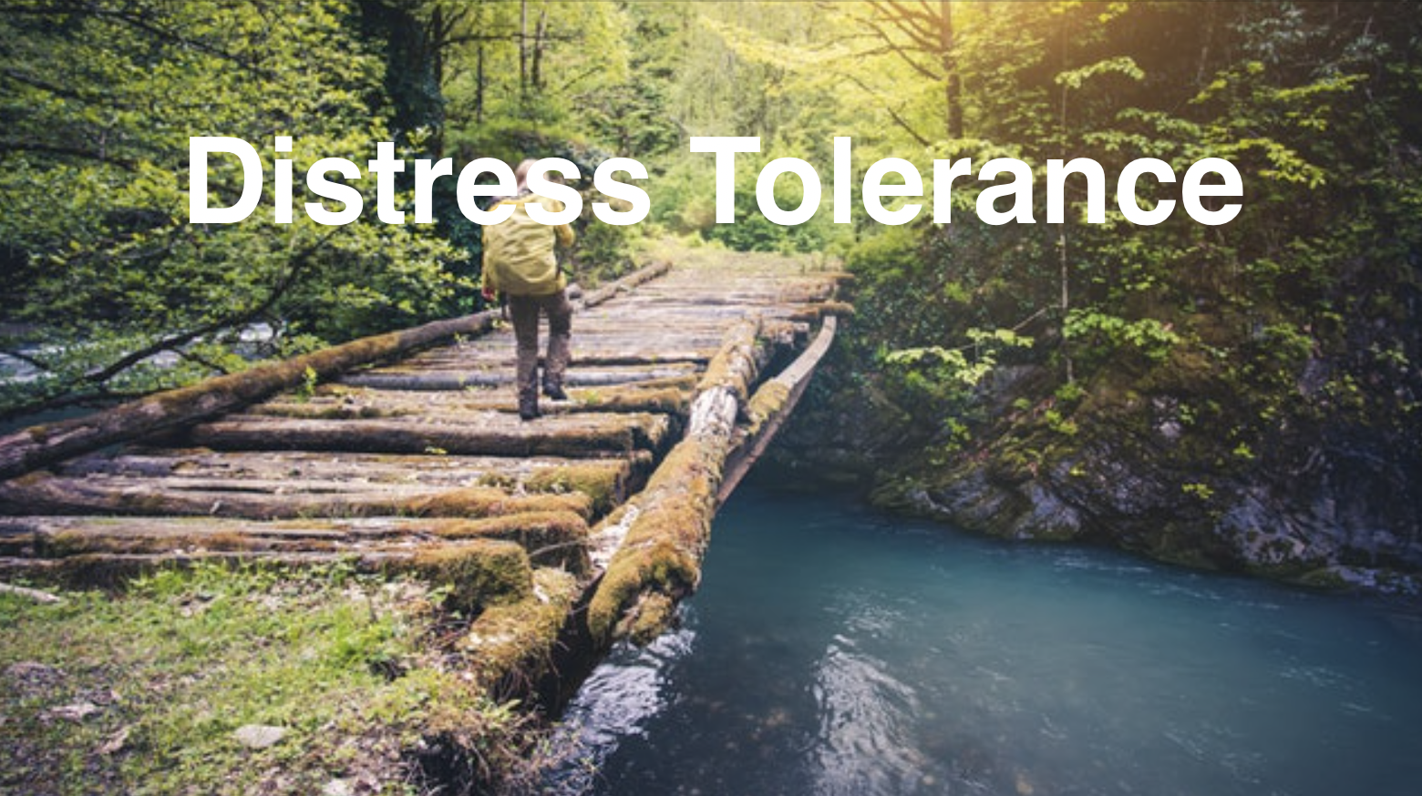 Distress Tolerance