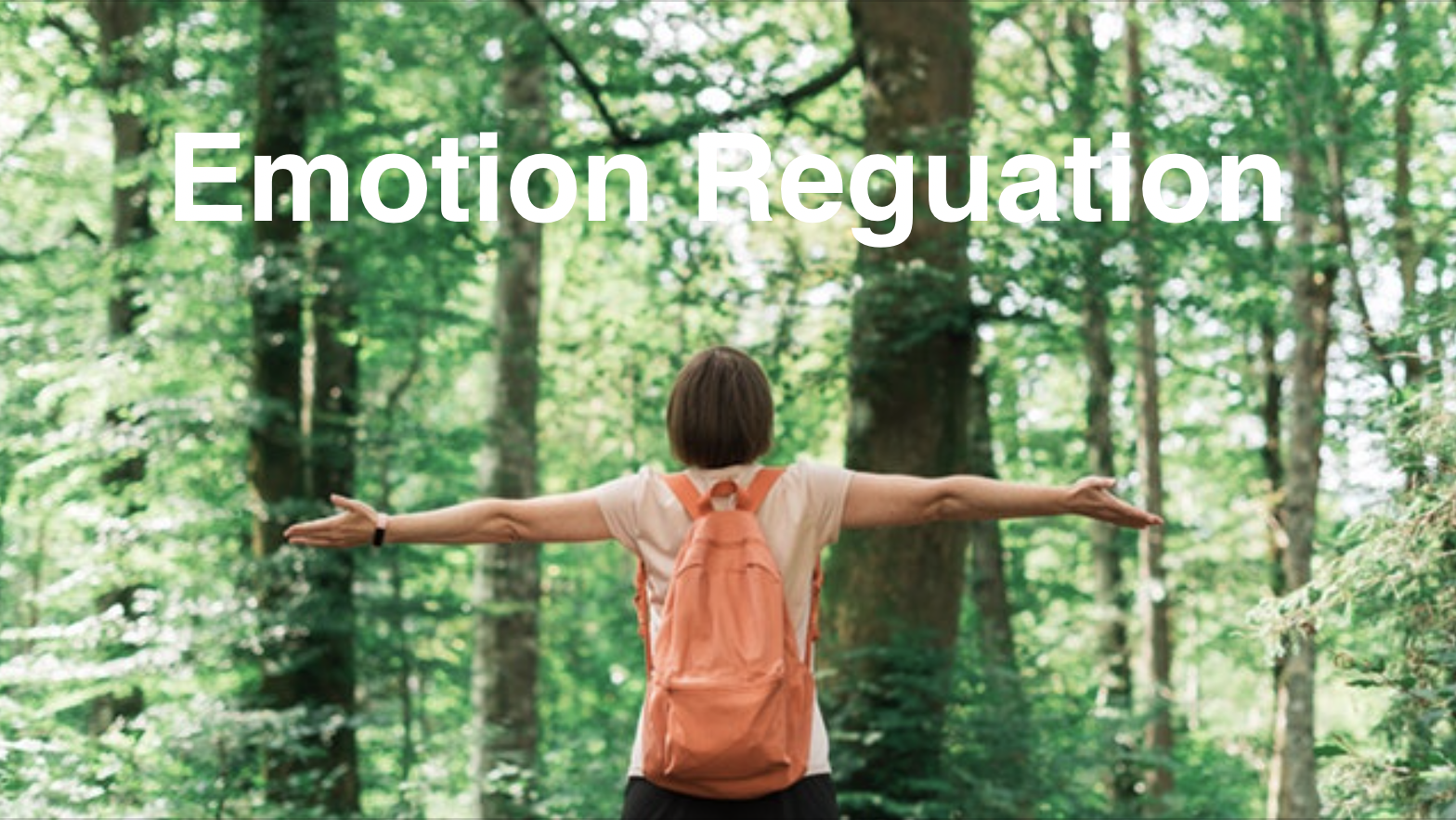 Emotion Regulation