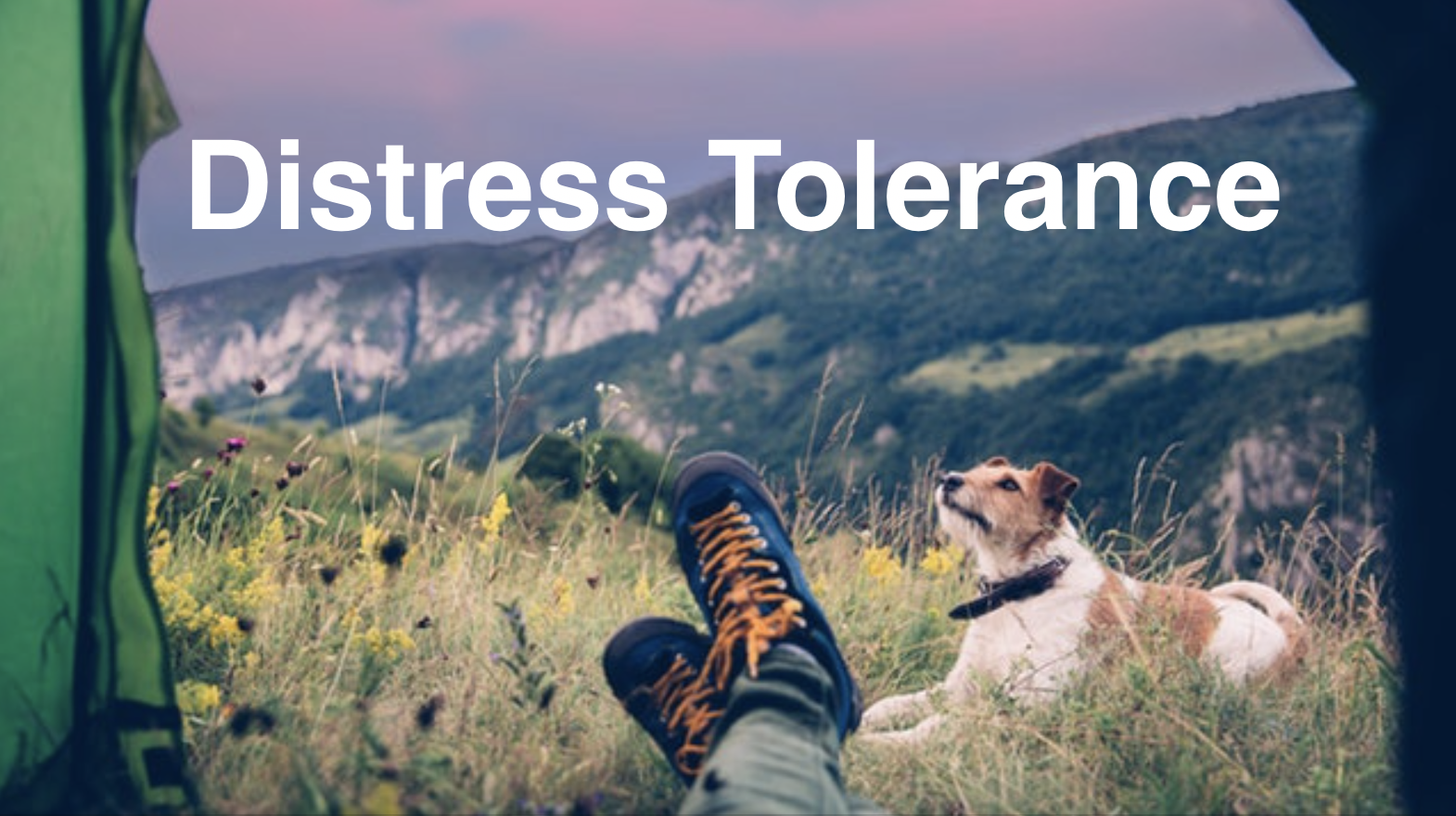 Distress Tolerance