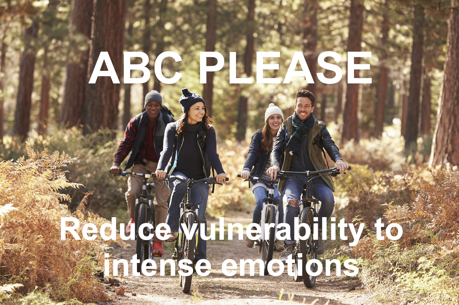 Building Positives and Reducing Emotional Vulnerability