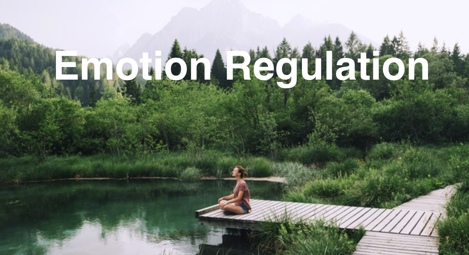 Emotion Regulation