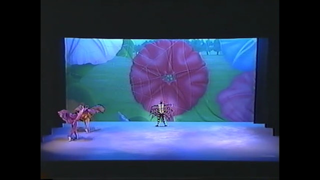 1999 Miss Spiders Tea Party-Scherzo-The Fly Away Flock