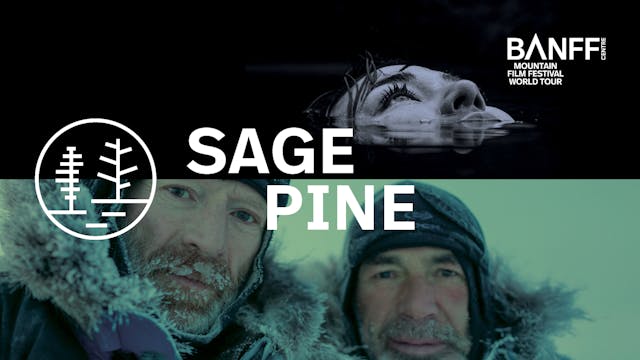 2021-22 World Tour Bundle  - Sage & Pine