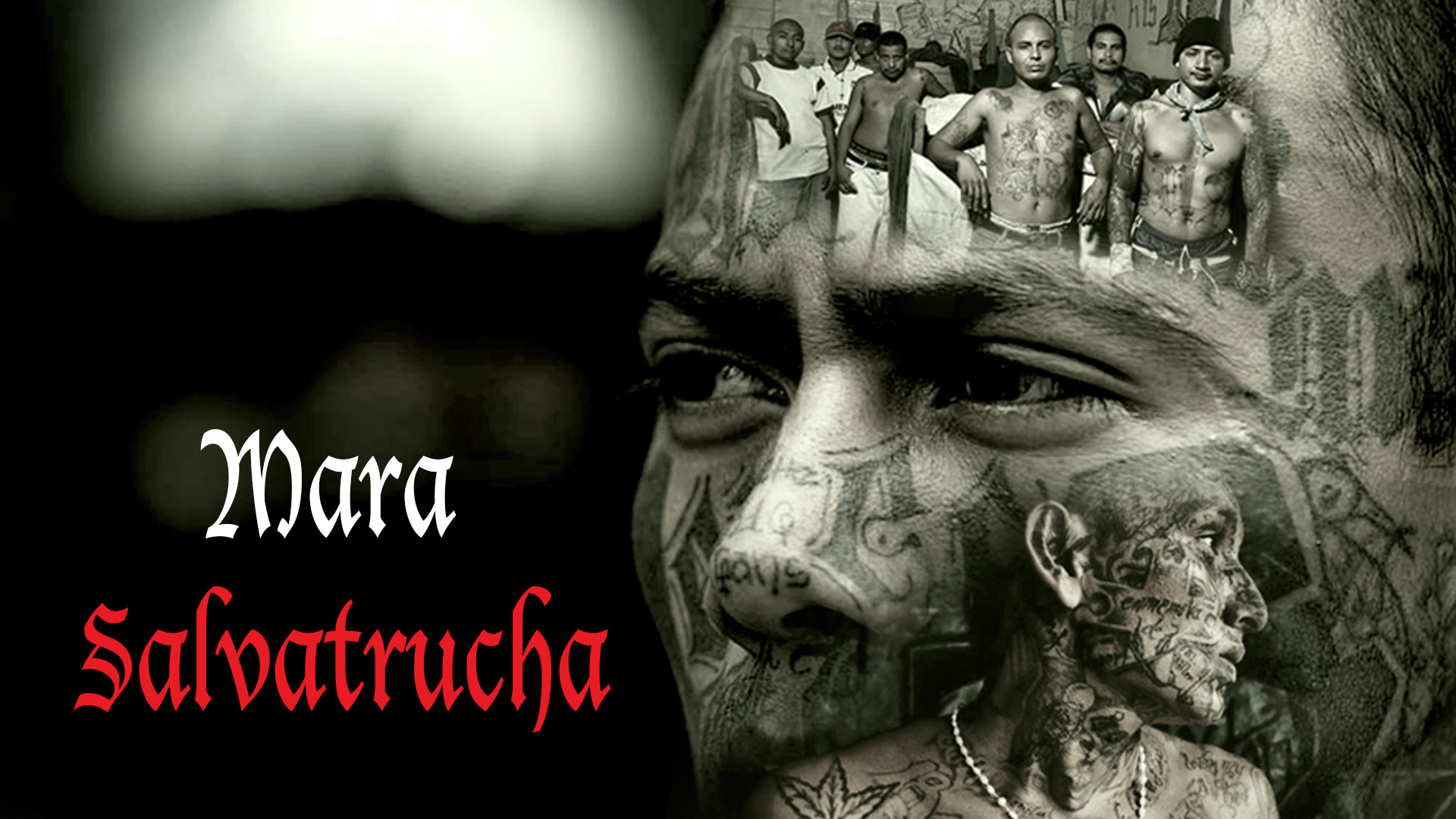 Mara Salvatrucha