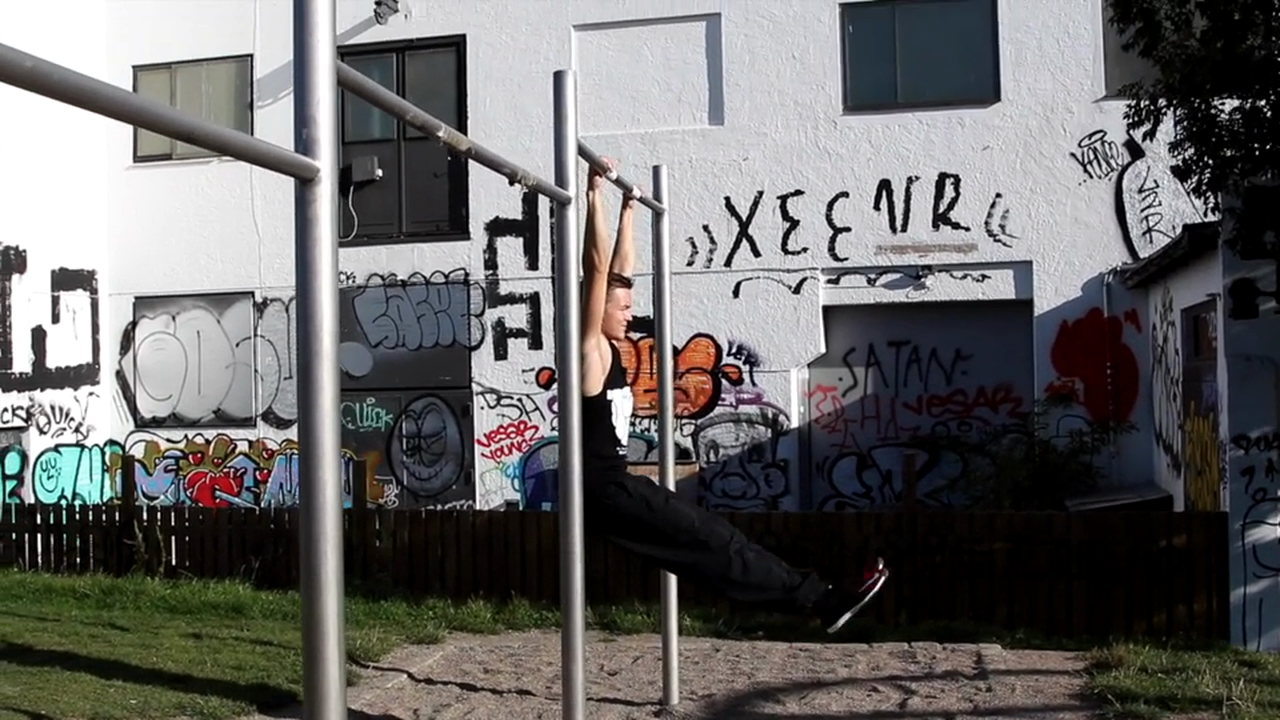 Hanging l-sit raises