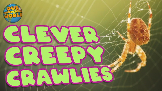 Our Wonderful World - Creepy Crawlies