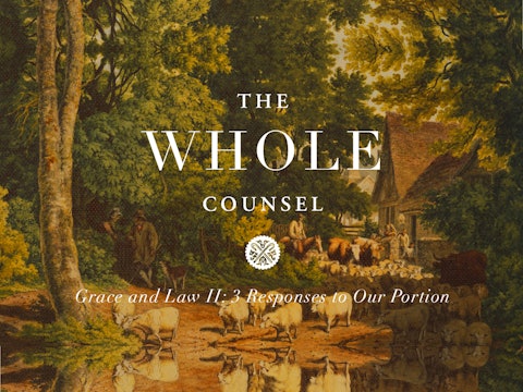 Grace and Law II: 3 Responses to our Portion 