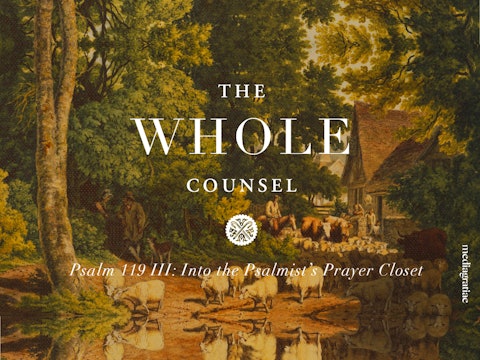 Psalm 119 III - Into the Psalmist's Prayer Closet
