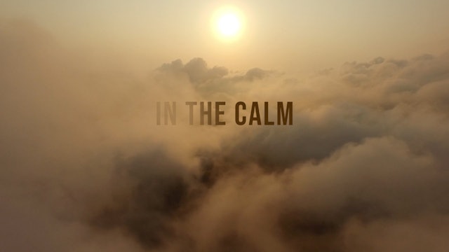 In The Calm