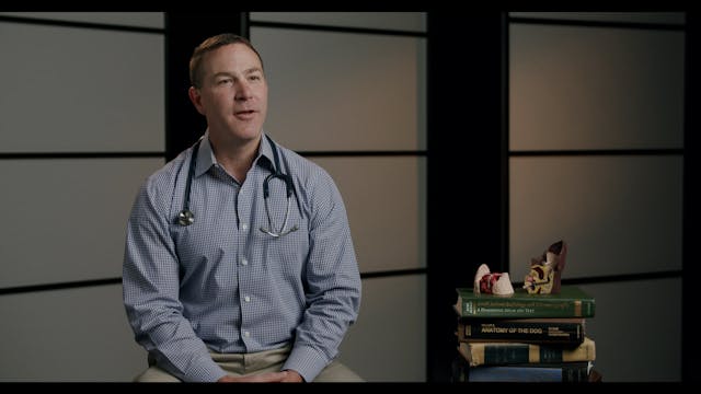 Dr. Brian Alexander Full Interview