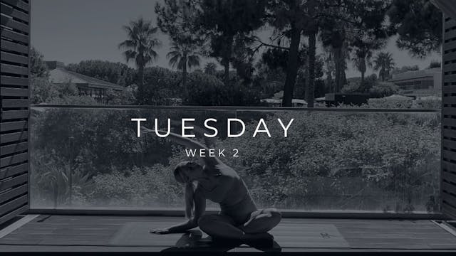 12 MIN CORE + GLUTES W/PILATES BALL 