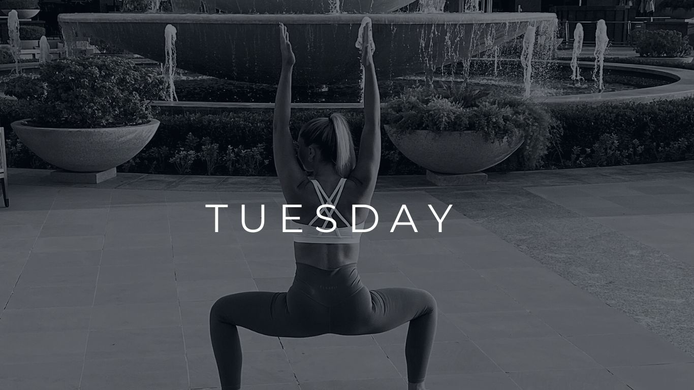 20 MIN BARRE ARMS + ABS 