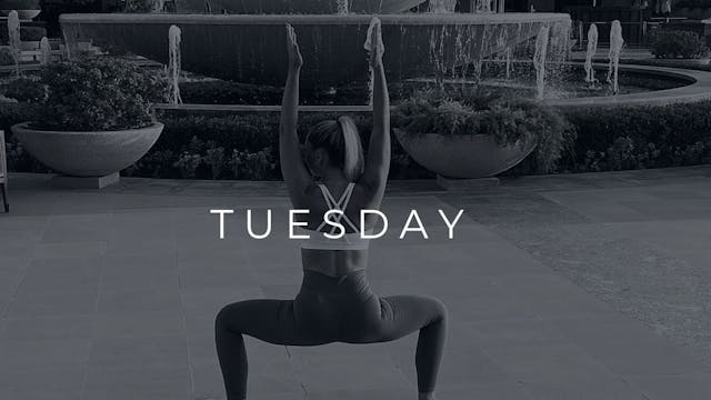 20 MIN BARRE ARMS + ABS 