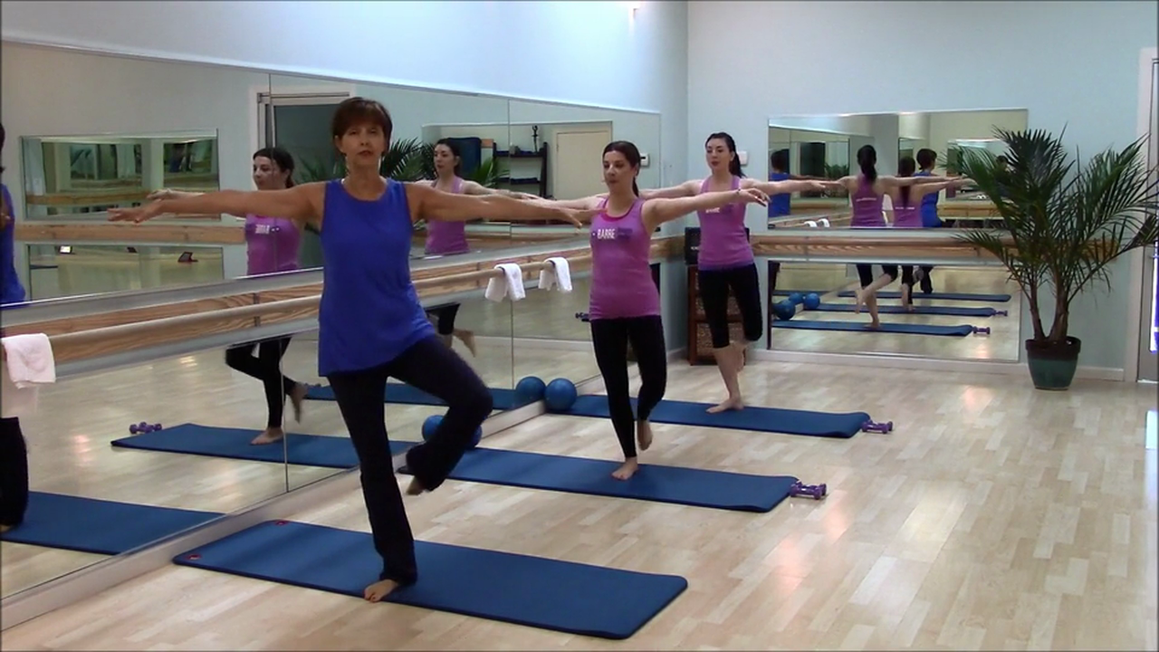 Barre Fitness: Lower Body #1 (10 Min)
