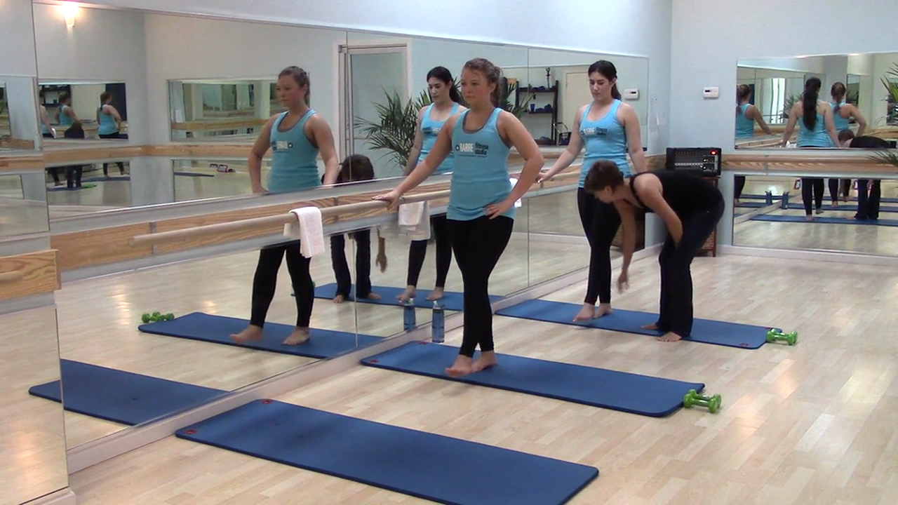 Barre Fitness: Lower Body #3 (10 Min)
