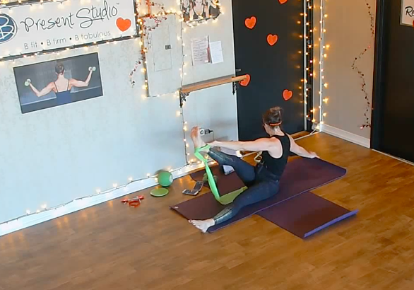 Core Galore Tammy Weights Ball Circle Band Sliders ADDED 1 3 24