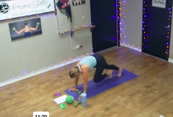 BARREdio Taylor Weights Circle Band Ball ADDED 11 1 22