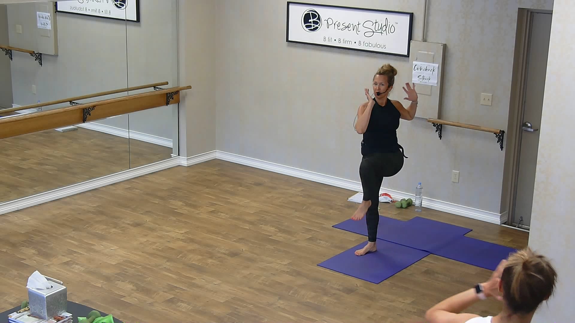 Barre Basics w/ Lisa