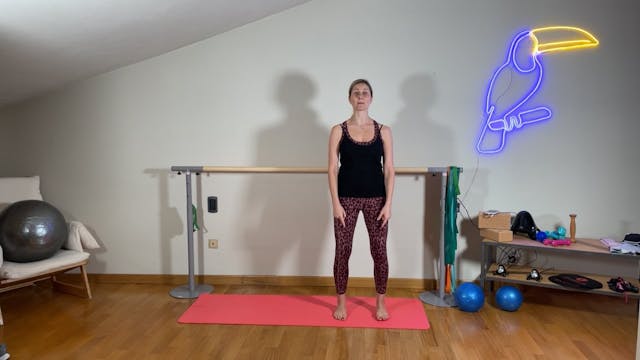 20/03 Barre con sedia e pesetti media...