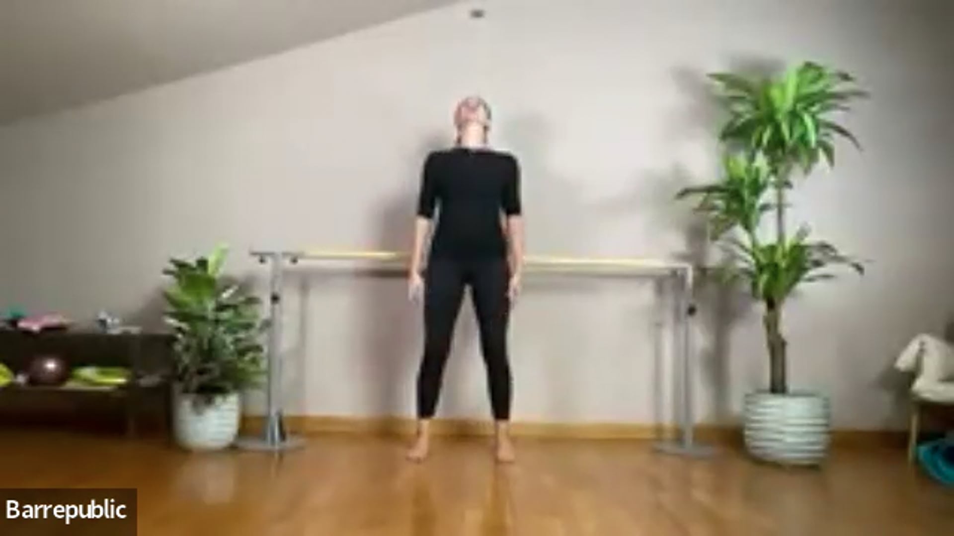 Barrepublic Video