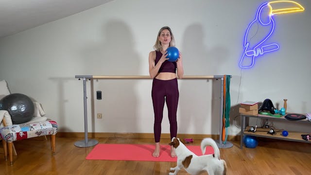 Miniworkout barre con soft ball