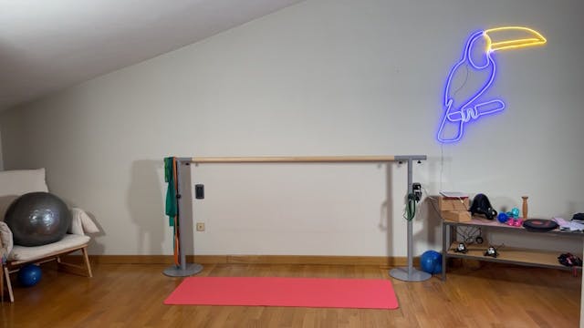 Barre total body