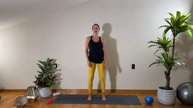 Barre total body flow